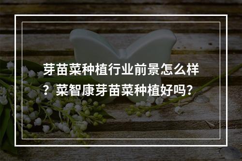 芽苗菜种植行业前景怎么样？菜智康芽苗菜种植好吗？