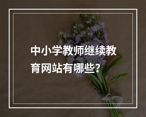 中小学教师继续教育网站有哪些？