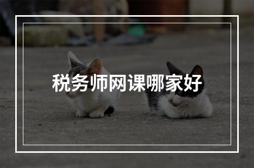 税务师网课哪家好