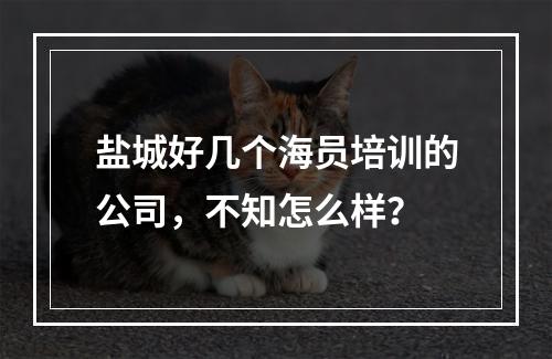 盐城好几个海员培训的公司，不知怎么样？