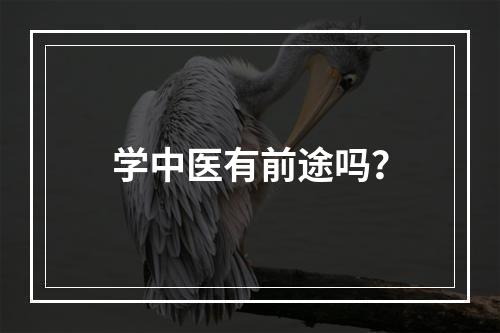 学中医有前途吗？