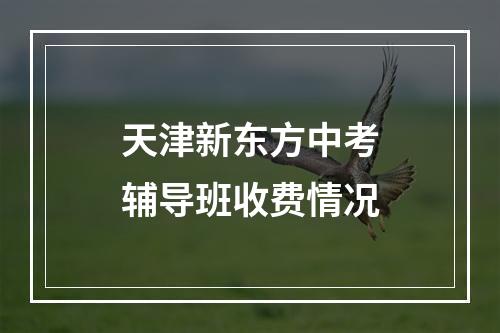 天津新东方中考辅导班收费情况