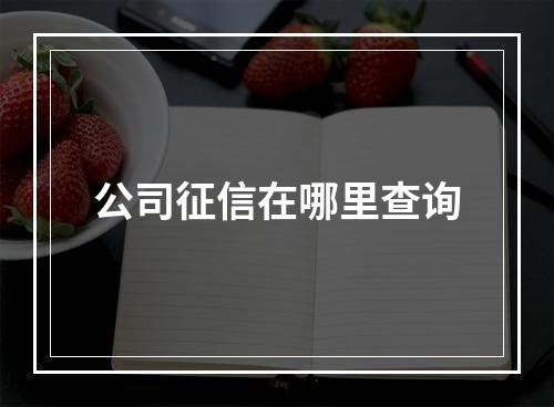 公司征信在哪里查询