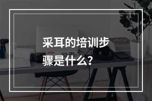 采耳的培训步骤是什么？