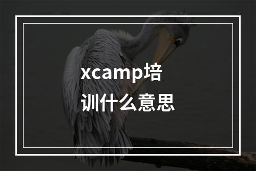 xcamp培训什么意思