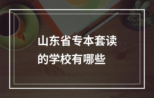 山东省专本套读的学校有哪些