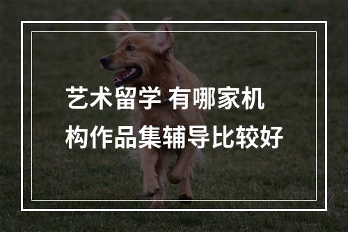 艺术留学 有哪家机构作品集辅导比较好