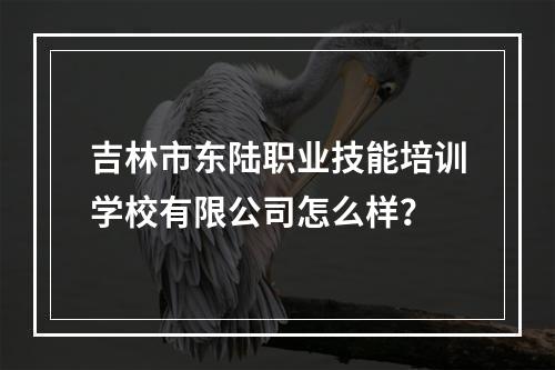 吉林市东陆职业技能培训学校有限公司怎么样？