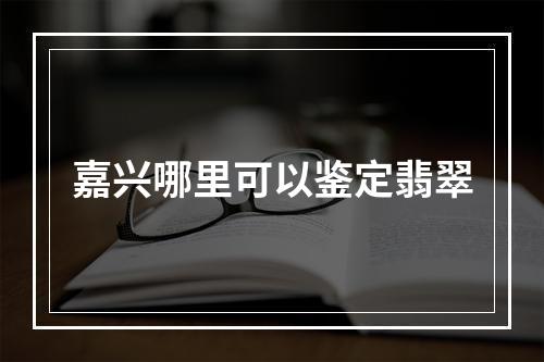 嘉兴哪里可以鉴定翡翠