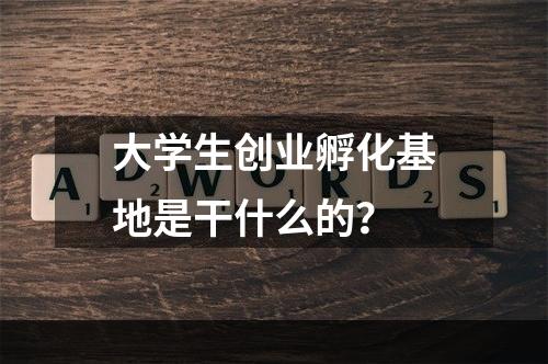 大学生创业孵化基地是干什么的？