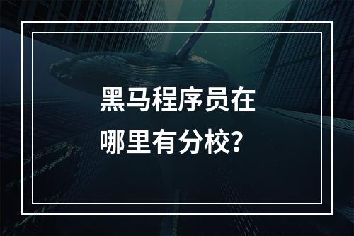 黑马程序员在哪里有分校？