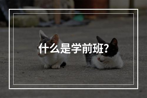 什么是学前班？