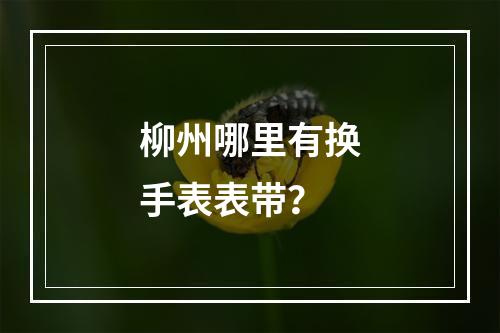 柳州哪里有换手表表带？