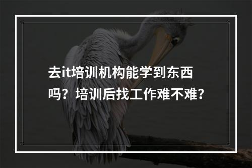 去it培训机构能学到东西吗？培训后找工作难不难？