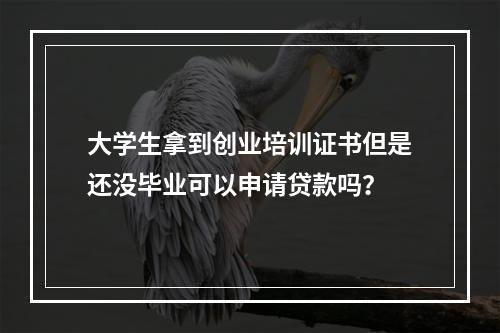 大学生拿到创业培训证书但是还没毕业可以申请贷款吗？