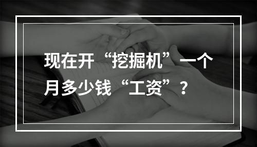 现在开“挖掘机”一个月多少钱“工资”？