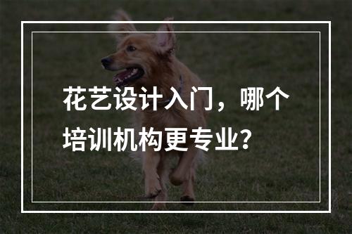 花艺设计入门，哪个培训机构更专业？