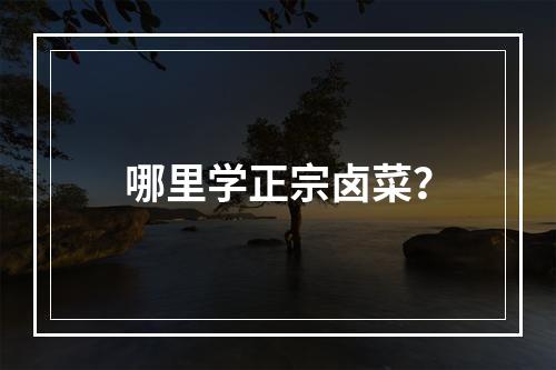 哪里学正宗卤菜？