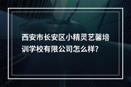 西安市长安区小精灵艺馨培训学校有限公司怎么样？