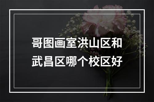 哥图画室洪山区和武昌区哪个校区好