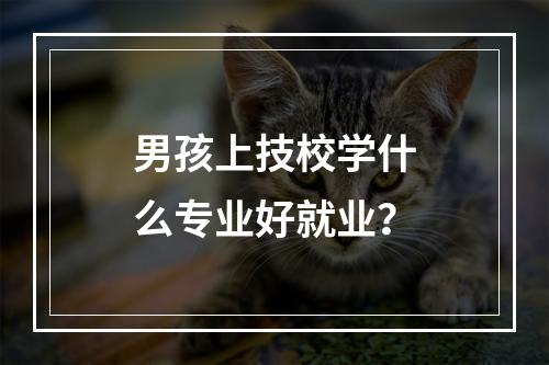 男孩上技校学什么专业好就业？