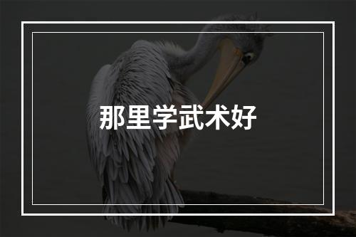 那里学武术好