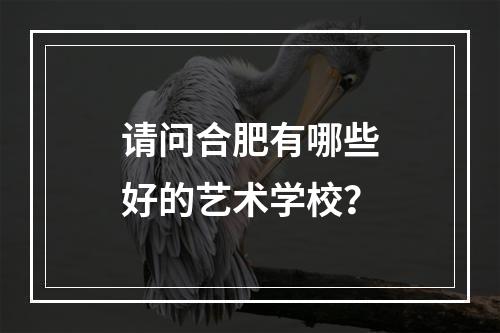 请问合肥有哪些好的艺术学校？