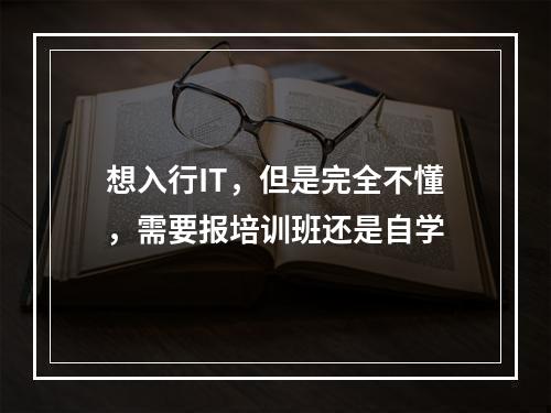 想入行IT，但是完全不懂，需要报培训班还是自学