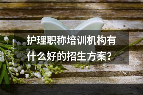 护理职称培训机构有什么好的招生方案？