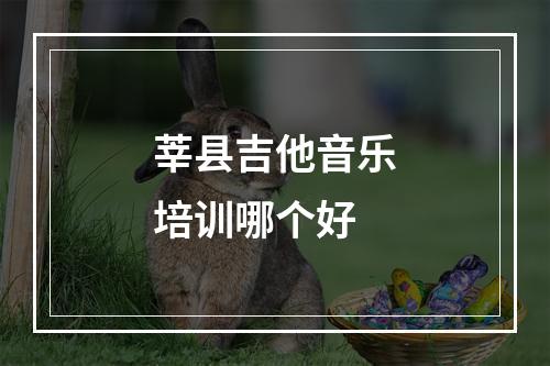 莘县吉他音乐培训哪个好