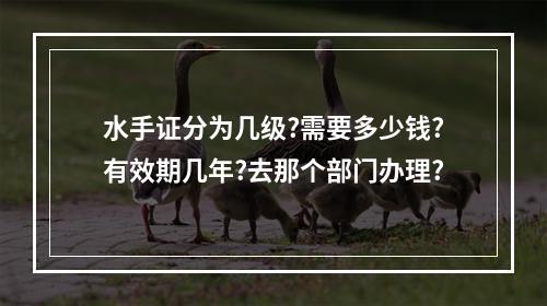 水手证分为几级?需要多少钱?有效期几年?去那个部门办理?