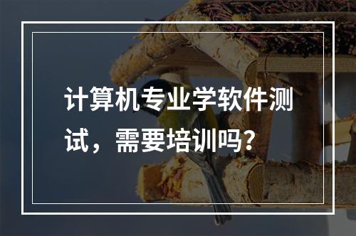 计算机专业学软件测试，需要培训吗？