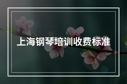 上海钢琴培训收费标准