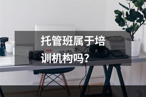 托管班属于培训机构吗？