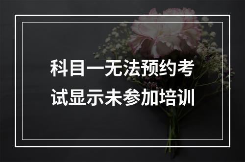 科目一无法预约考试显示未参加培训