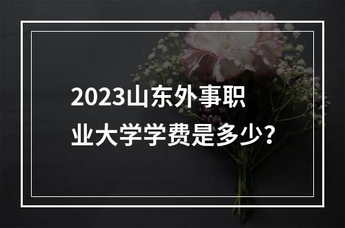 2023山东外事职业大学学费是多少？