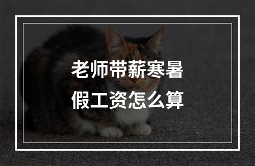 老师带薪寒暑假工资怎么算