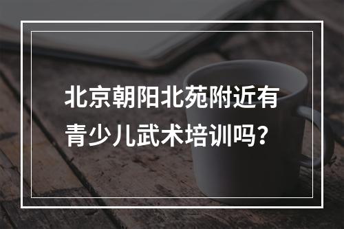 北京朝阳北苑附近有青少儿武术培训吗？