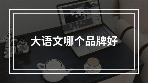 大语文哪个品牌好