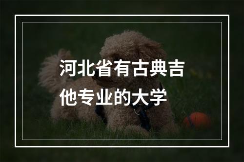 河北省有古典吉他专业的大学