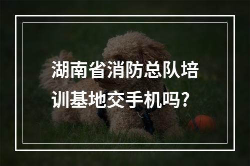 湖南省消防总队培训基地交手机吗?