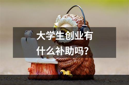 大学生创业有什么补助吗？