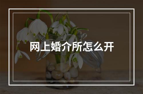 网上婚介所怎么开