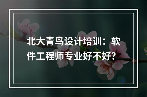 北大青鸟设计培训：软件工程师专业好不好？