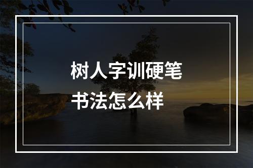 树人字训硬笔书法怎么样