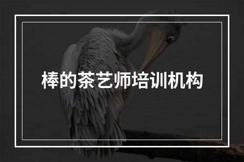 棒的茶艺师培训机构