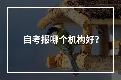 自考报哪个机构好？