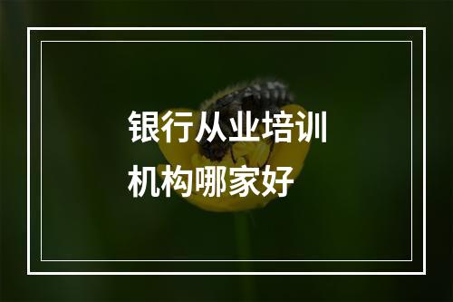 银行从业培训机构哪家好