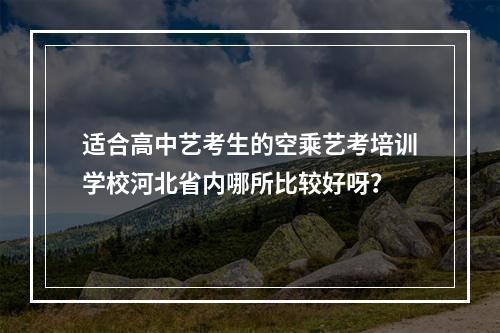 适合高中艺考生的空乘艺考培训学校河北省内哪所比较好呀？