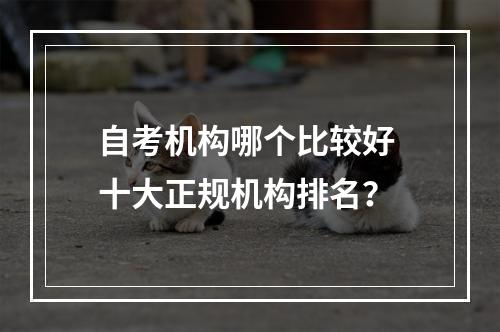 自考机构哪个比较好 十大正规机构排名？